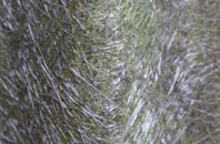 Hightown Green fibreglass roof work